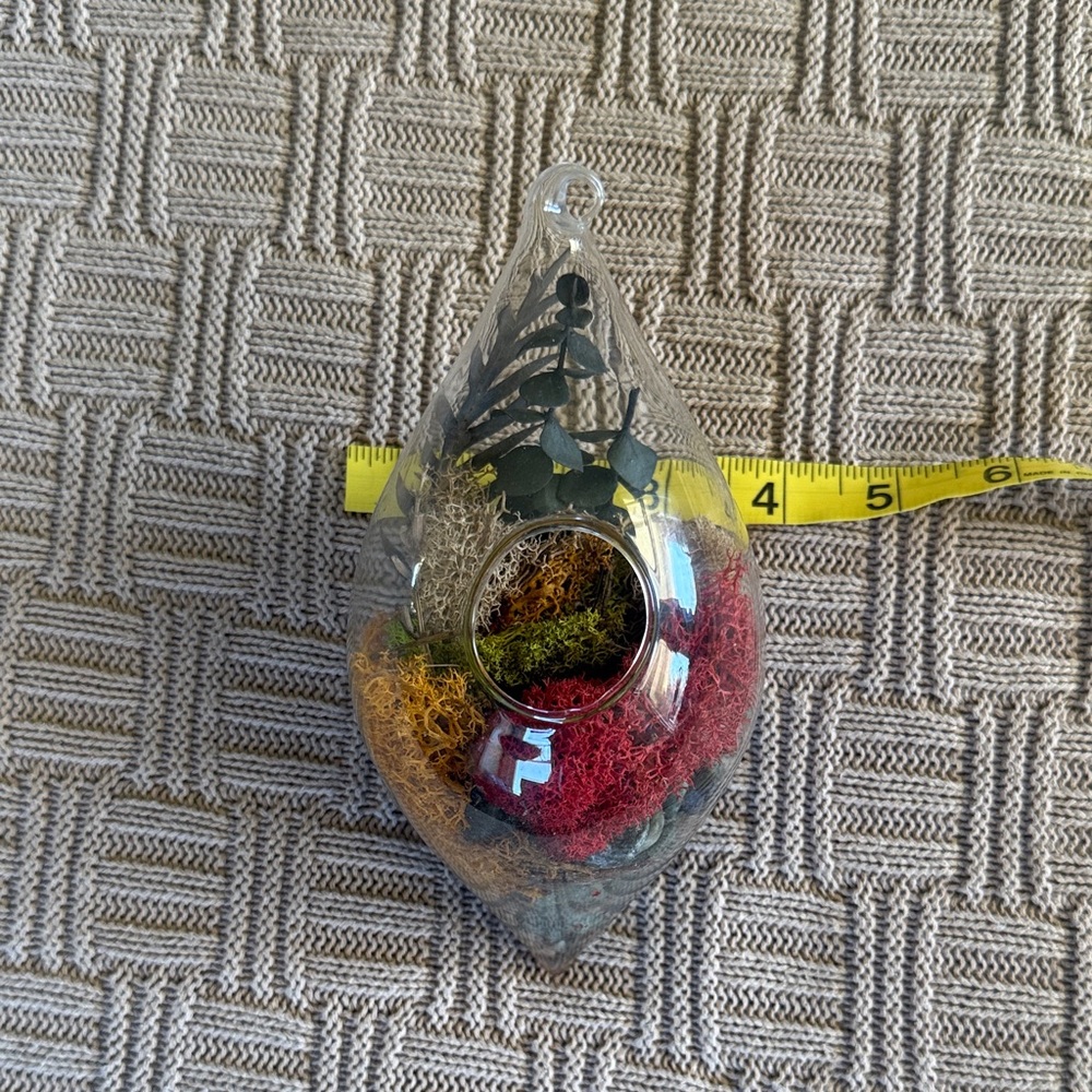 Glass Teardrop Hanging Terrarium with Red, Yellow, and Green Moss - Picture 10 of 10